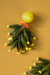 Aros topical verdes - comprar online