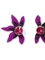 Aros media flor glitter y strass - comprar online