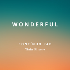 Banner da categoria Wonderful