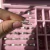 Anillo 919 en internet