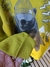 Conjunto em Moletom - comprar online