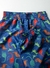 Conjunto Corta Vento Dinossauro - comprar online