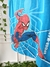 Conjunto Homem Aranha - comprar online