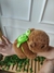 Agarradinho Capivara com Mochila Tartaruga