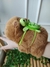 Agarradinho Capivara com Mochila Tartaruga na internet