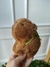 Agarradinho Capivara com Mochila Tartaruga