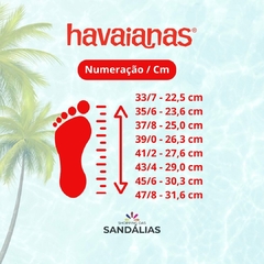 CHINELO HAVAIANAS TOP SURFER I - Branco - Branco - comprar online