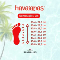 CHINELO HAVAIANAS TOP MAX COMFORT - Cinza Aço - comprar online