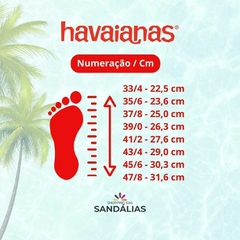 CHINELO HAVAIANAS SLIM SQUARE LISA - Smoke Green na internet