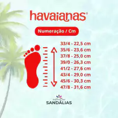 CHINELO HAVAIANAS TOP LISA - Vermelho - loja online