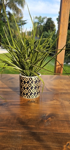 Planta con maceta ceramica