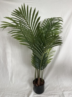 Palmera Areca 110 cm