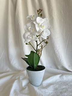 Orquidea 32 cm