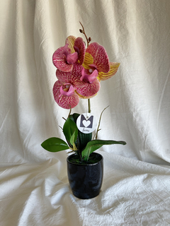 Orquidea Rosa 30 cm