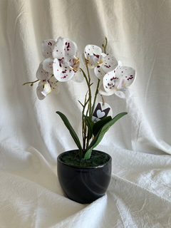 Orquidea 32 cm blanca pigmentada