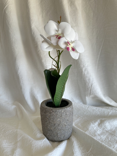 Orquidea chica blanca 30 cm