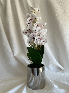 Orquidea 34 cm