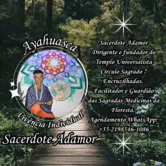 Banner da categoria Vivência Individual com Ayahuasca