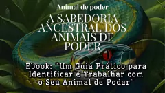 Banner da categoria Ayahuasca Sessão Individual