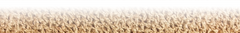 Banner da categoria Tapetes Fibra Natural