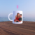 CANECAS - comprar online