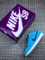 Nike SB Dunk Low "Blue Fury" na internet