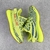 Adidas Yeezy Boost 350 V2 - Semi Frozen Yellow - comprar online