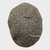 Imagen de Boina Algodon