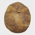 Boina Algodon - comprar online
