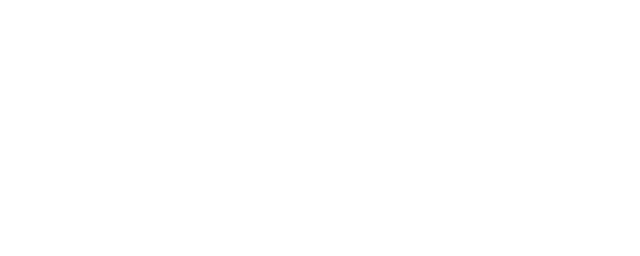 virtushop