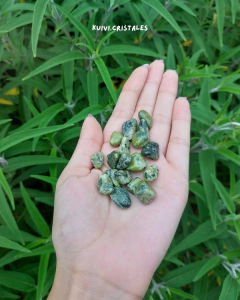 Serpentina en internet