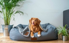 Banner de la categoría COLCHONETAS