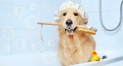 Banner de la categoría HIGIENE
