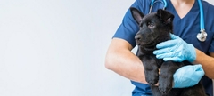 Banner de la categoría MEDICAMENTOS