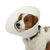 COLLAR ISABELINO N 0 - comprar online