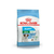 MINI JUNIOR X 3 KG ROYAL CANIN