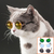 Óculos para Pet Animal de Estimação gato cachorro coelho de mini e pequeno porte - comprar online