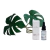 Sérum Antissinais e Rejuvenescedor – Resveratrol + Ácido Ferúlico - Gabi Marães Skincare
