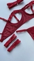 Conjunto de Lingerie Desejo vermelho - comprar online