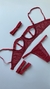 Conjunto de Lingerie Desejo vermelho