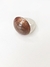 Anillo Shell