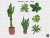 kit de "PLANTAS" PNG Para Photoshop en internet