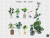 kit de "PLANTAS" PNG Para Photoshop - ArquiFacil