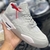 Air Jordan 4 premium