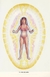 Vortex Aura Healing - tienda online