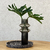 Florero Turn - comprar online