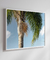 Quadro Decorativo Palmeiras 11 - comprar online
