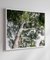 Quadro Decorativo Guarapuvu 03 - comprar online