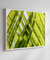 Quadro Decorativo Palmeiras 12 - comprar online