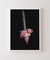Quadro Decorativo Bananeiras 14 - comprar online